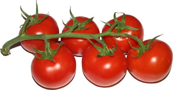 365 QUEJÍOS (10) ¿son tomates?